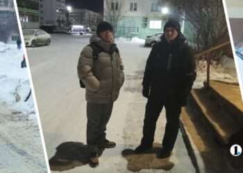 В поселке Рощино спасли пожилую женщину от замерзания