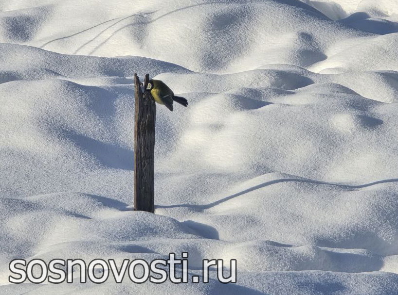 В Челябинской области к выходным станет теплее