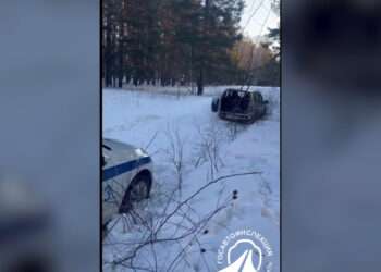 В Сосновском округе задержали браконьеров