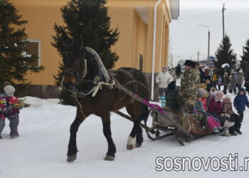 Концерт и катание на лошадях: воспитанники воскресных школ участвовали в народных гуляниях