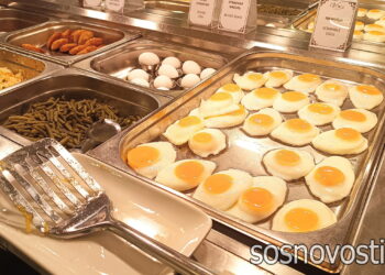 Пути оптимизации питания рабочих промышленных предприятий