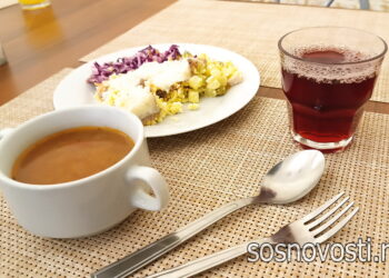 Совершенствование организации питания на промышленных предприятиях