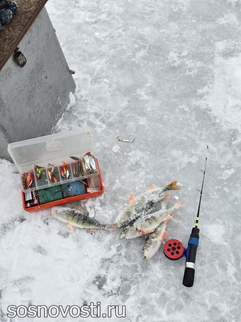 В Челябинской области отличная погода