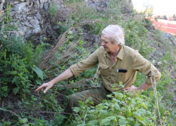 Древние миры Владимира Юрина: краевед и археолог отмечает юбилей