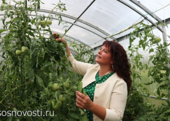 К полю и теплице агроклассы Теченской школы добавят розы и орхидеи