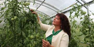 К полю и теплице агроклассы Теченской школы добавят розы и орхидеи