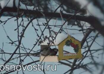 Жителей Челябинской области ожидает неделя «уютной зимы»