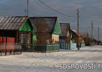 В Сосновском округе учредили общественную должность сельских старост
