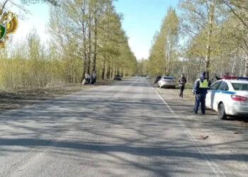 Житель Рощино отправится в колонию за наезд на ребенка