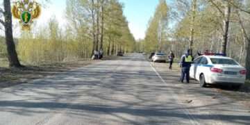 Житель Рощино отправится в колонию за наезд на ребенка