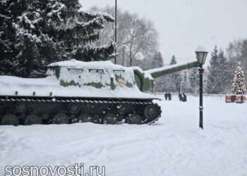 В Челябинской области на 8 марта вместо мимозы – красивые снежинки