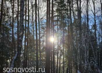 Какой будет весна: народные приметы марта