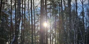 Какой будет весна: народные приметы марта