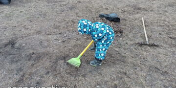 В Челябинской области стартовали весенние субботники