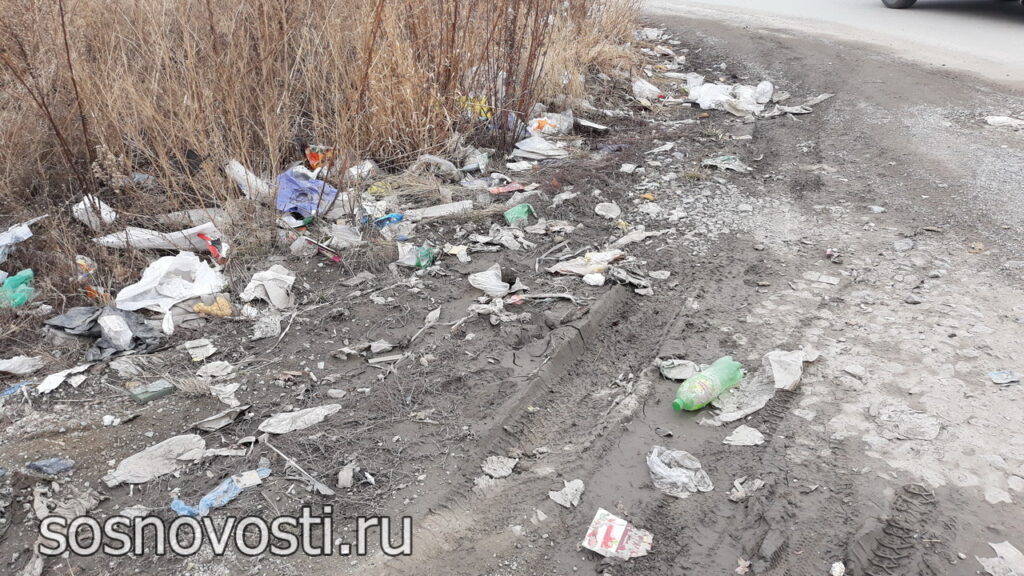 В Челябинской области стартовали весенние субботники