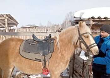 Мороженки и булки на деревьях не растут: новый объект агротуризма понравится детям