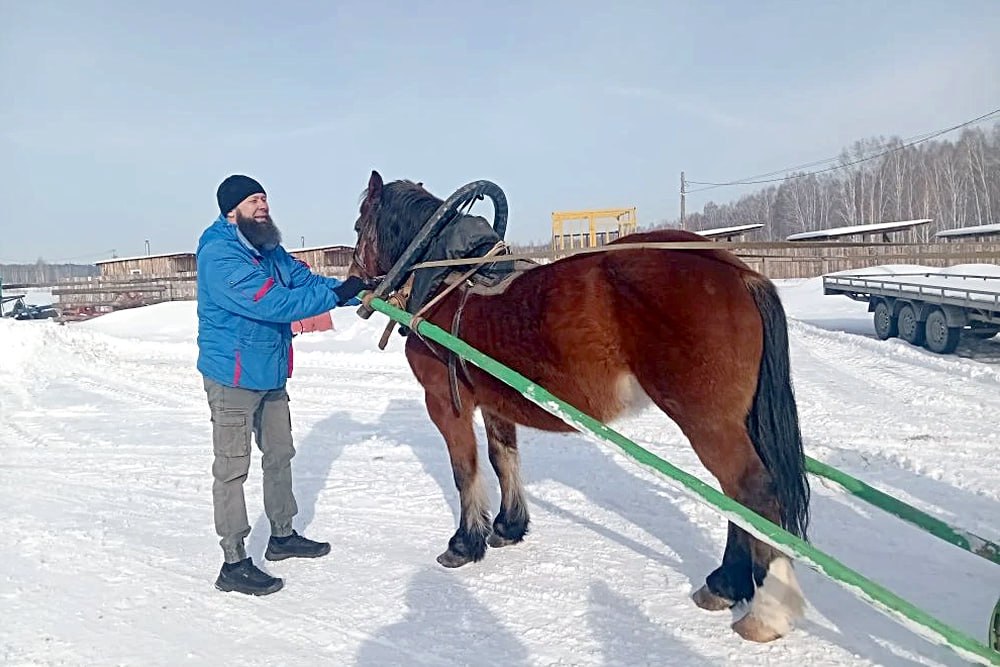 Интересный объект агротуризма открылся на юге Сосновского округа