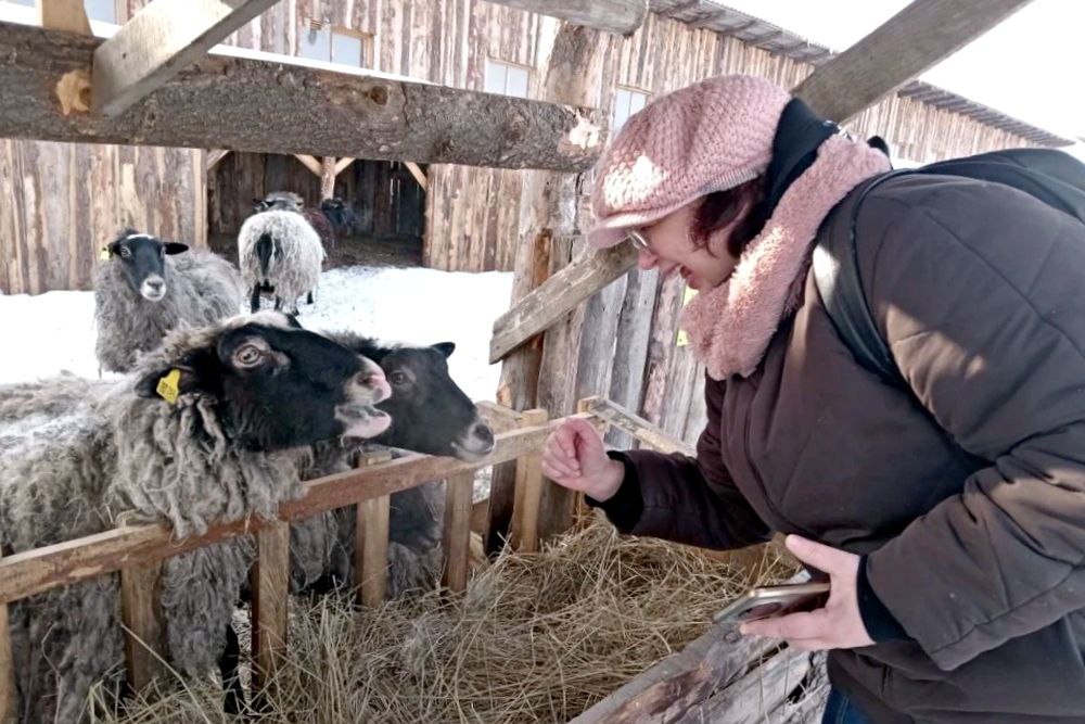 Интересный объект агротуризма открылся на юге Сосновского округа