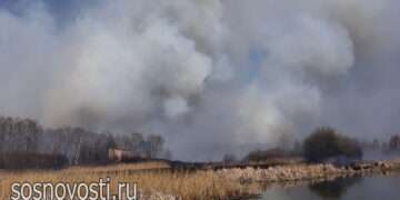 В Солнечном поселении загорелся камыш