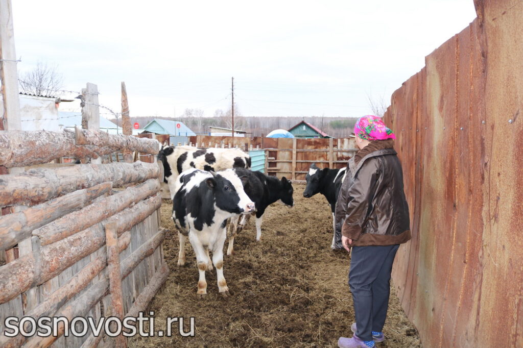 Жители Сосновского округа стремятся выйти на соцконтракт