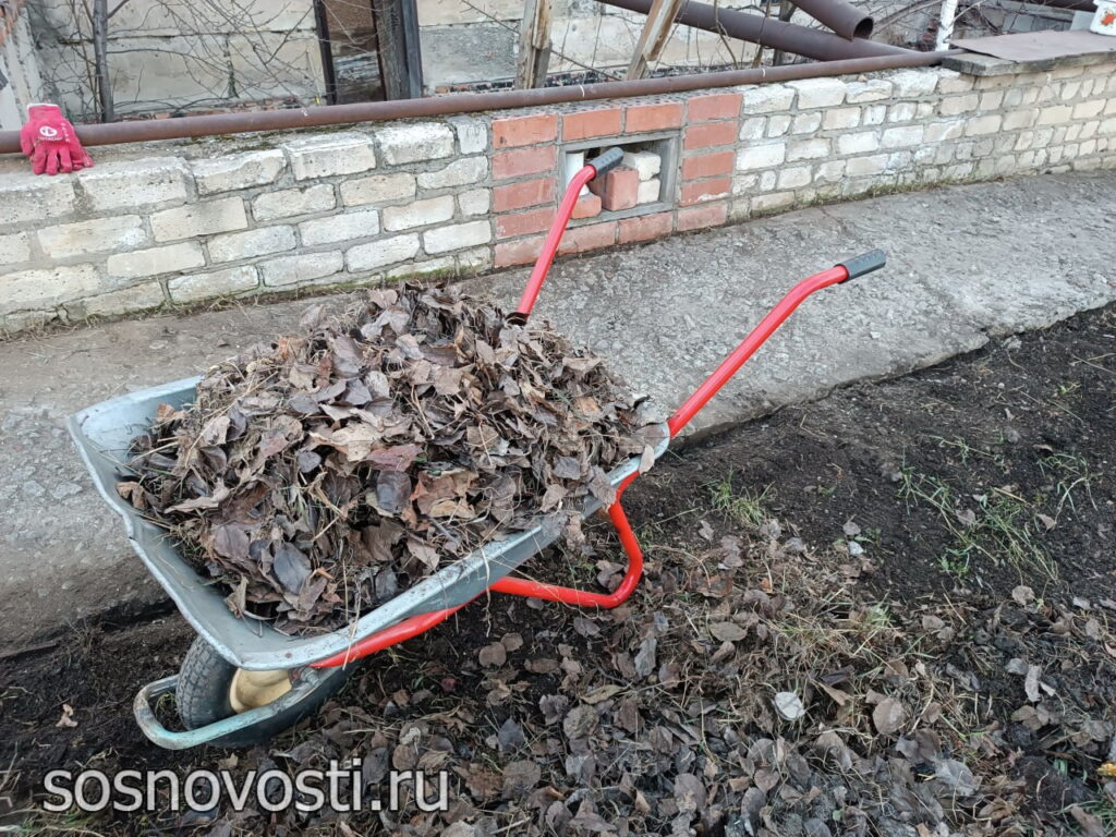 В Челябинской области стартовали весенние субботники