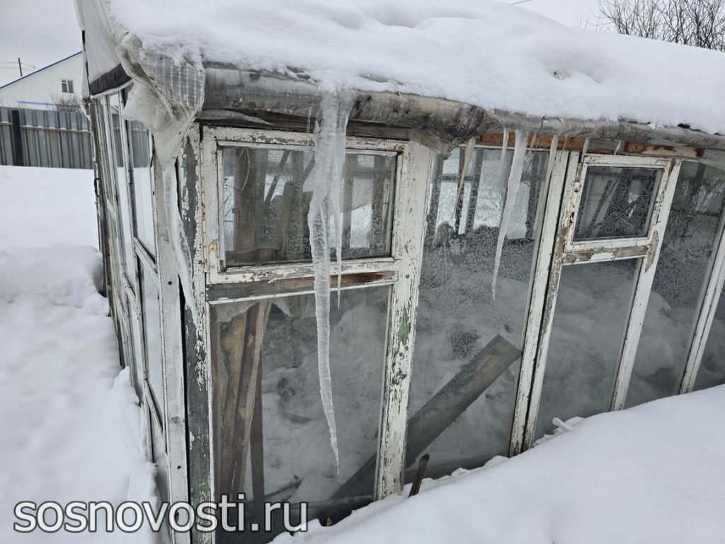 В Челябинской области на 8 марта вместо мимозы красивые снежинки