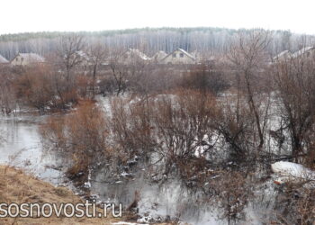 В Челябинской области март 2026 года на 7 градусов теплее прошлогоднего