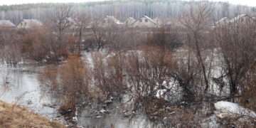 В Челябинской области март 2026 года на 7 градусов теплее прошлогоднего