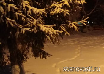 Забытая на морозе: сиделка пансионата не доглядела за пожилой пациенткой