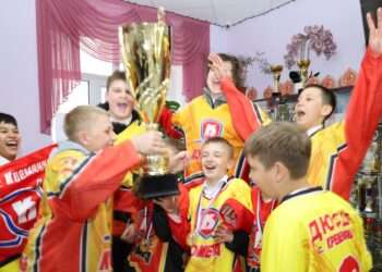 Спортивная школа Сосновского округа стала лучшей хоккейной школой региона