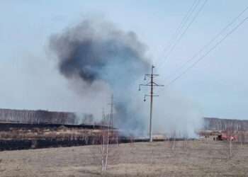 Тревожные выходные: огнеборцы ликвидировали несколько ландшафтных пожаров