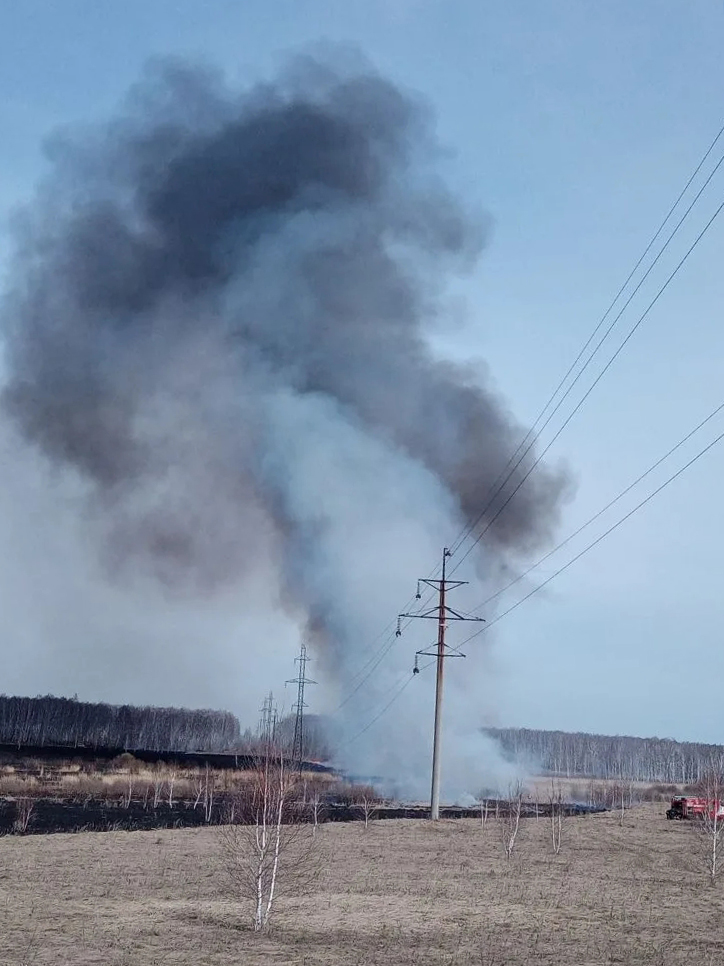 Тревожные выходные: огнеборцы ликвидировали ландшафтные пожары