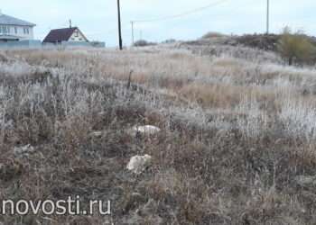 Вторую неделю нет стабильности в природе