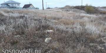 Вторую неделю нет стабильности в природе