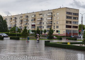 Такой год, на день семь погод