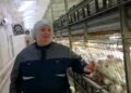 Дело всей жизни: жительница Есаульского уже более 30 лет работает в птицеводстве 