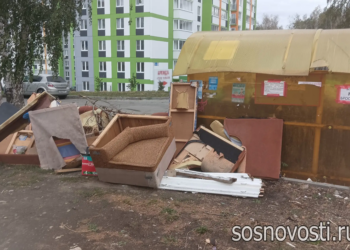 Баки не для диванов: коммунальщики напомнили, как складировать крупногабаритный мусор
