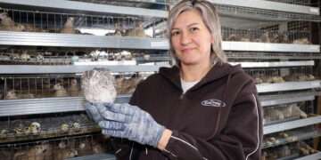 Мечтайте и все сбудется: в Сосновском округе работает перепелиная ферма