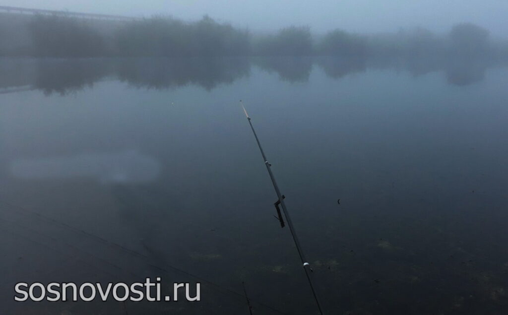 Пасмурно, дождливо и прохладно. Такую погоду прогнозируют в Челябинской области