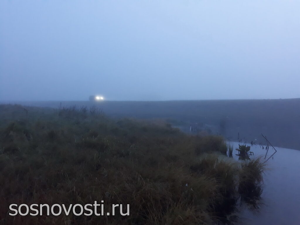 Пасмурно, дождливо и прохладно. Такую погоду прогнозируют в Челябинской области