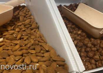 Какие бывают жиры и сколько их нужно для поддержания здоровья