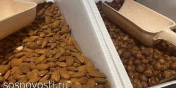 Какие бывают жиры и сколько их нужно для поддержания здоровья