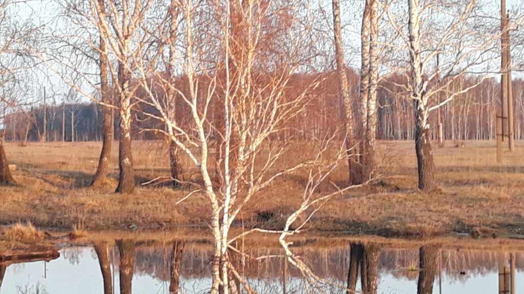 В Челябинскую область пришло первое весеннее похолодание