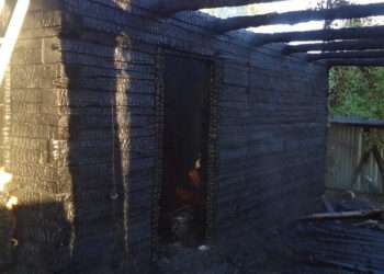 Тревожное утро в Полетаево: пожарные тушили баню