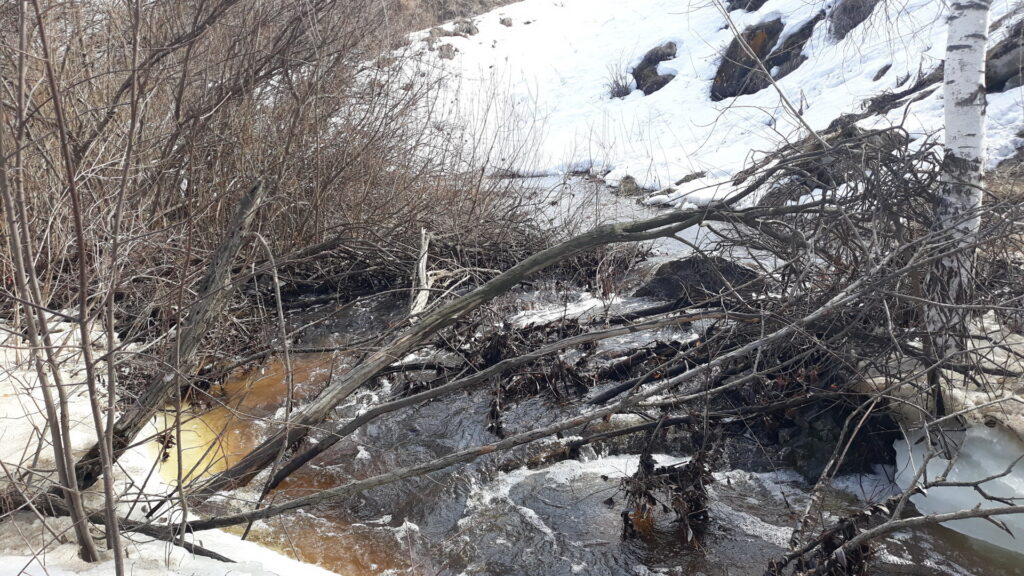 В Челябинскую область пришло первое весеннее похолодание
