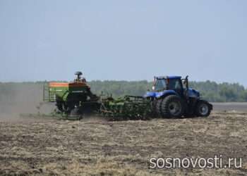 Доработать или заменить: в апреле всхожесть семян должна быть гарантирована