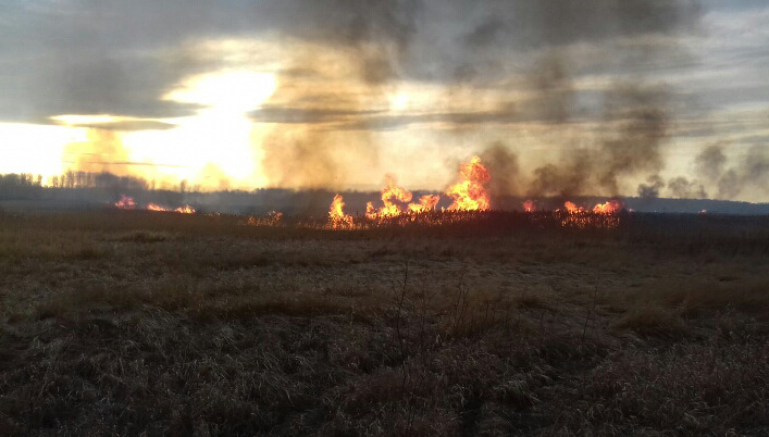 В Челябинской области объявлен пожароопасный период