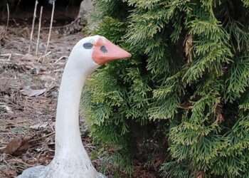 Календарь народных примет: на что обратить внимание в середине апреля