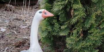 Календарь народных примет: на что обратить внимание в середине апреля