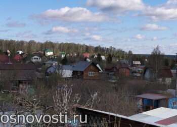 Губернатор предложил выдавать землю в СНТ бойцам СВО